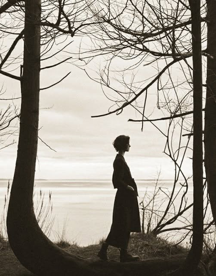 Posted media